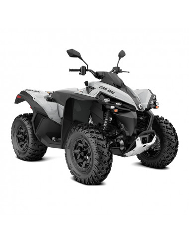 RENEGADE 650 T 2023